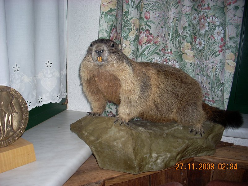 SOLDEN 2008 PROSINEC 096.jpg